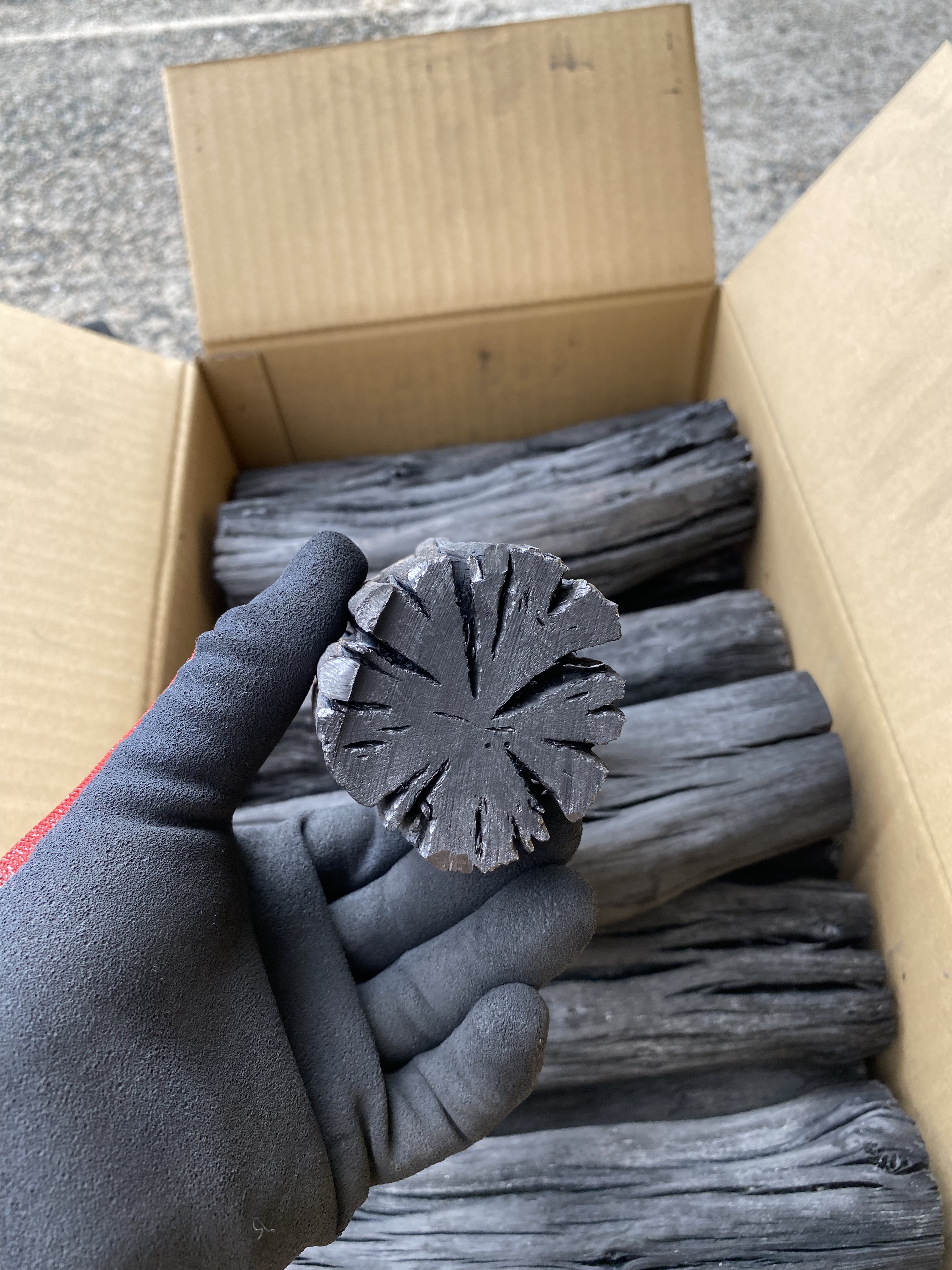 上土佐備長炭 馬目 大丸